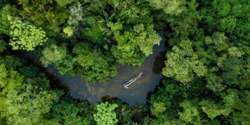 Amazônia