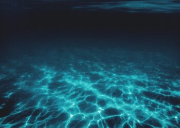 Foto: Jonathan Borba/Unsplash