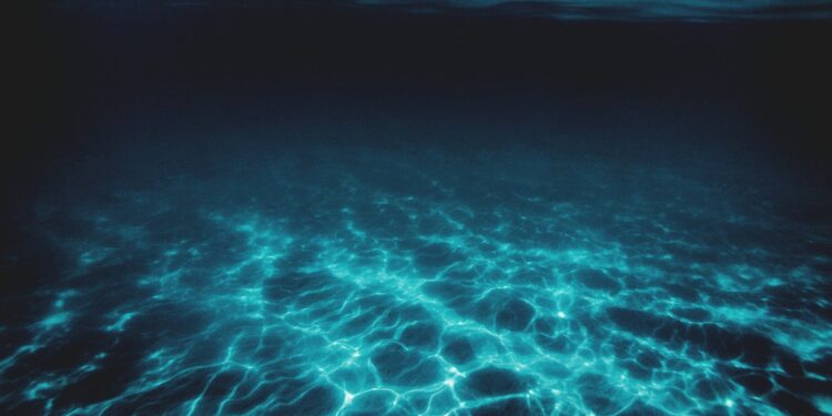 Foto: Jonathan Borba/Unsplash