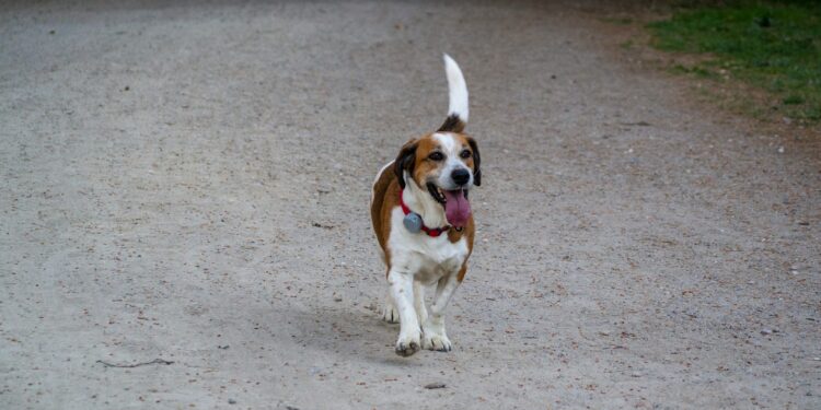 Foto: Sergi Kabrera/Unsplash