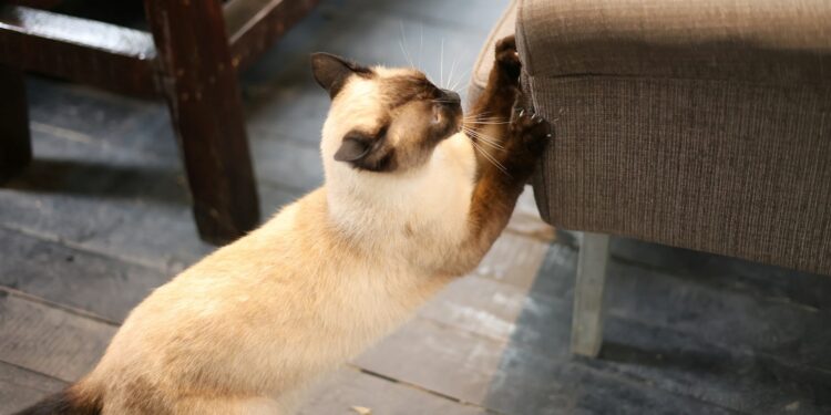 Foto: Thức Trần/Unsplash