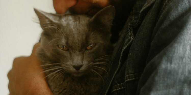 Foto: Bia Santana/Pexels