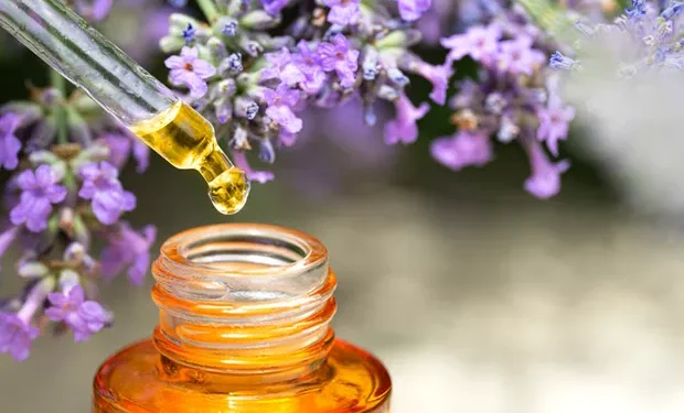 Simples e barata: a mistura de duas gotas no balde que deixa a casa cheirosa por dias