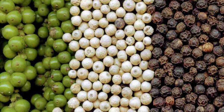 Pimenta que melhora o humor e aumenta a libido pode ser facilmente encontrada nos supermercados brasileiros