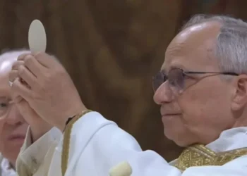 Papa usa acessório que pode chegar até R$ 10.000 e é fundamental para manter ele vivo