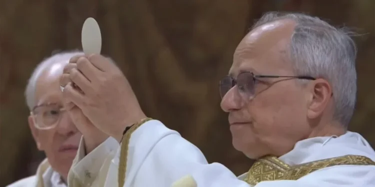 Papa usa acessório que pode chegar até R$ 10.000 e é fundamental para manter ele vivo