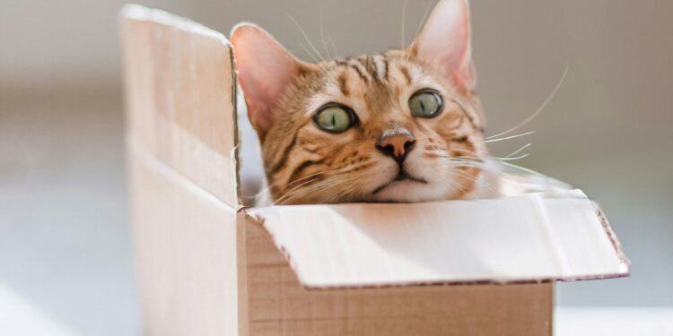 Foto: Oli Zubenko/Unsplash