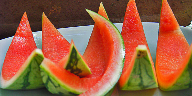 Não jogue mais fora: casca da melancia pode esconder tesouro valioso