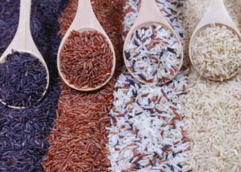 Novo tipo de arroz que protege o coração e ajuda a controlar o colesterol vira moda no prato dos brasileiros