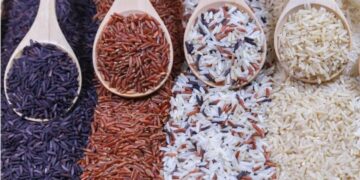 Novo tipo de arroz que protege o coração e ajuda a controlar o colesterol vira moda no prato dos brasileiros