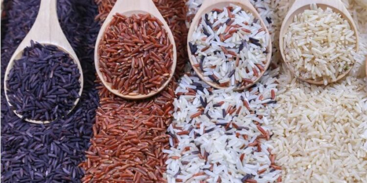 Novo tipo de arroz que protege o coração e ajuda a controlar o colesterol vira moda no prato dos brasileiros