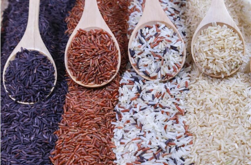 Novo tipo de arroz que protege o coração e ajuda a controlar o colesterol vira moda no prato dos brasileiros