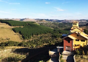 - Suíça brasileira: Cidade que já registrou -6,5ºC produz vinhos premiados e é o destino perfeito para casais