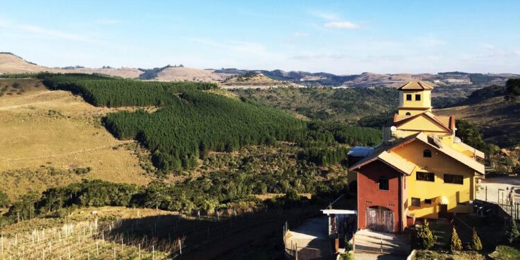 - Suíça brasileira: Cidade que já registrou -6,5ºC produz vinhos premiados e é o destino perfeito para casais