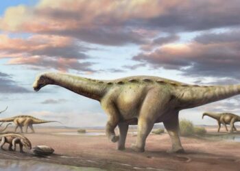 Descoberta histórica para a ciência: dinossauros vivendo na Amazônia