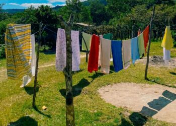 Foto: Glauco de Souza Santos/Pexels