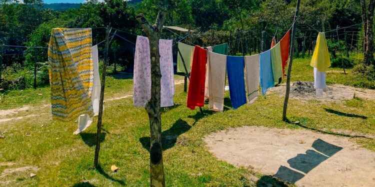 Foto: Glauco de Souza Santos/Pexels