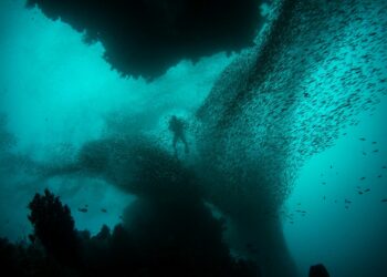 Foto: Alex Rose/Unsplash