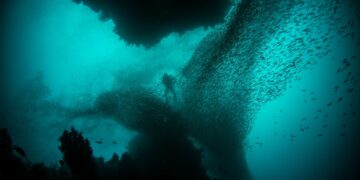 Foto: Alex Rose/Unsplash