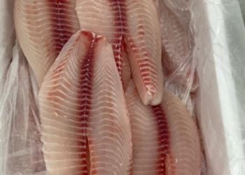 Tão saudável quanto o salmão, peixe rico em proteínas encanta pelo sabor e custa menos