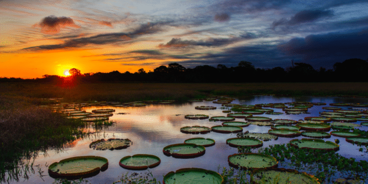 Região específica tem aumento de temperatura e vai sofrer mais que todo o Brasil