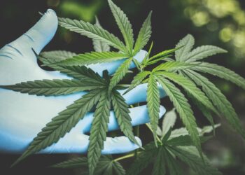 Foto: Aphiwat chuangchoem/Pexels