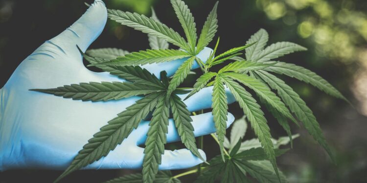 Foto: Aphiwat chuangchoem/Pexels