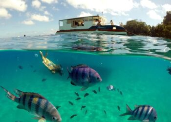 Praia brasileira foi eleita a melhor do mundo por ter águas cristalinas e ser um paraíso do mergulho