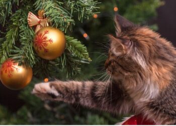 Sem técnicas complicadas: o truque para que seu gato não derrube nem quebre a árvore de Natal