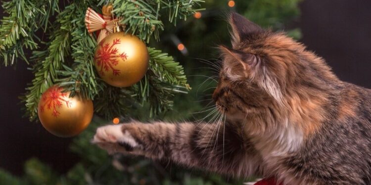 Sem técnicas complicadas: o truque para que seu gato não derrube nem quebre a árvore de Natal