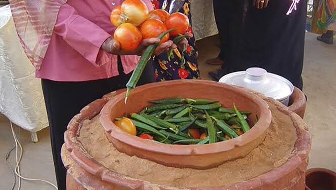 Método conhecido como "geladeira do deserto" utiliza dois vasos de plantas para conservar alimentos