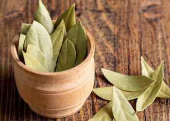 07h Receita simples com folhinhas de louro regula o açúcar no sangue e previne a diabetes