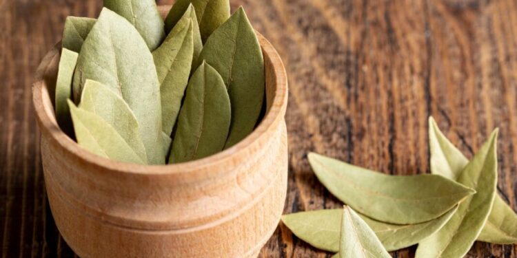 07h Receita simples com folhinhas de louro regula o açúcar no sangue e previne a diabetes