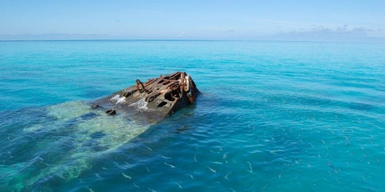 Nunca visto na Terra: o “gigante” que cientistas encontraram no Triângulo das Bermudas