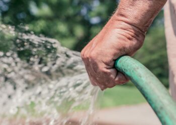 Foto: Gratisography/Pexels