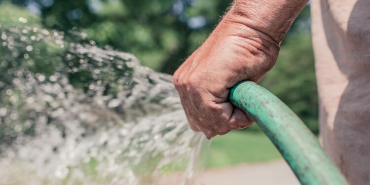 Foto: Gratisography/Pexels