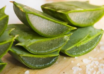 A “planta da imortalidade” que promete acabar com a queda de cabelo e reduzir as rugas no rosto