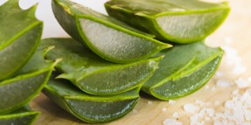 A “planta da imortalidade” que promete acabar com a queda de cabelo e reduzir as rugas no rosto