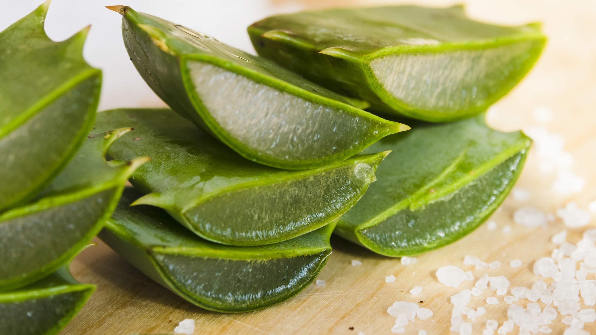 A “planta da imortalidade” que promete acabar com a queda de cabelo e reduzir as rugas no rosto