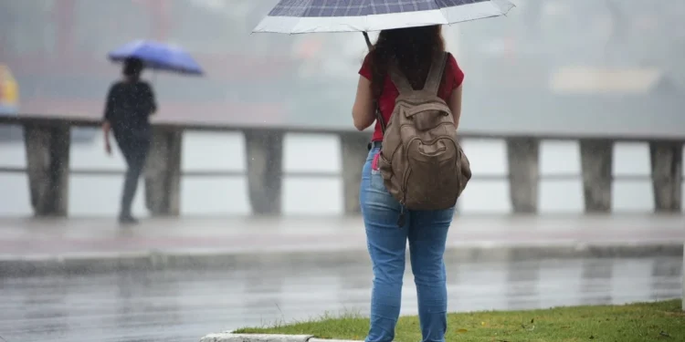 Mais calor e chuvas "estranhas" em São Paulo: a previsão de um especialista para um verão extremo