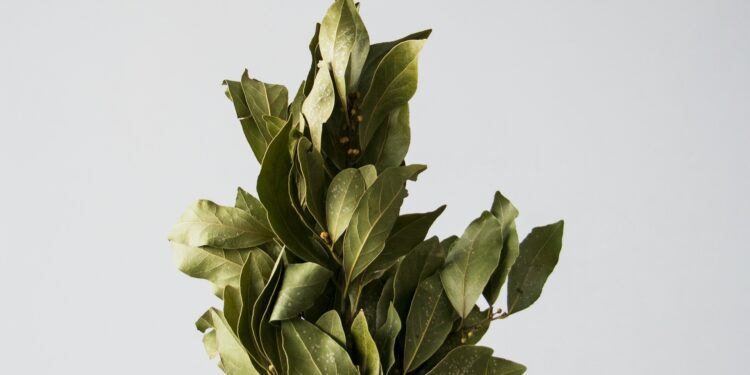 Foto: Tetiana Bykovets/Unsplash