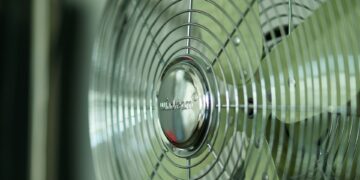 Foto: Roy Muz/Unsplash