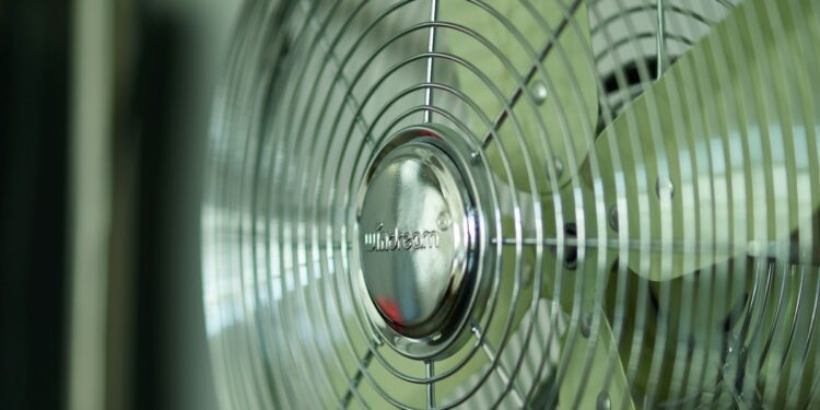 Foto: Roy Muz/Unsplash