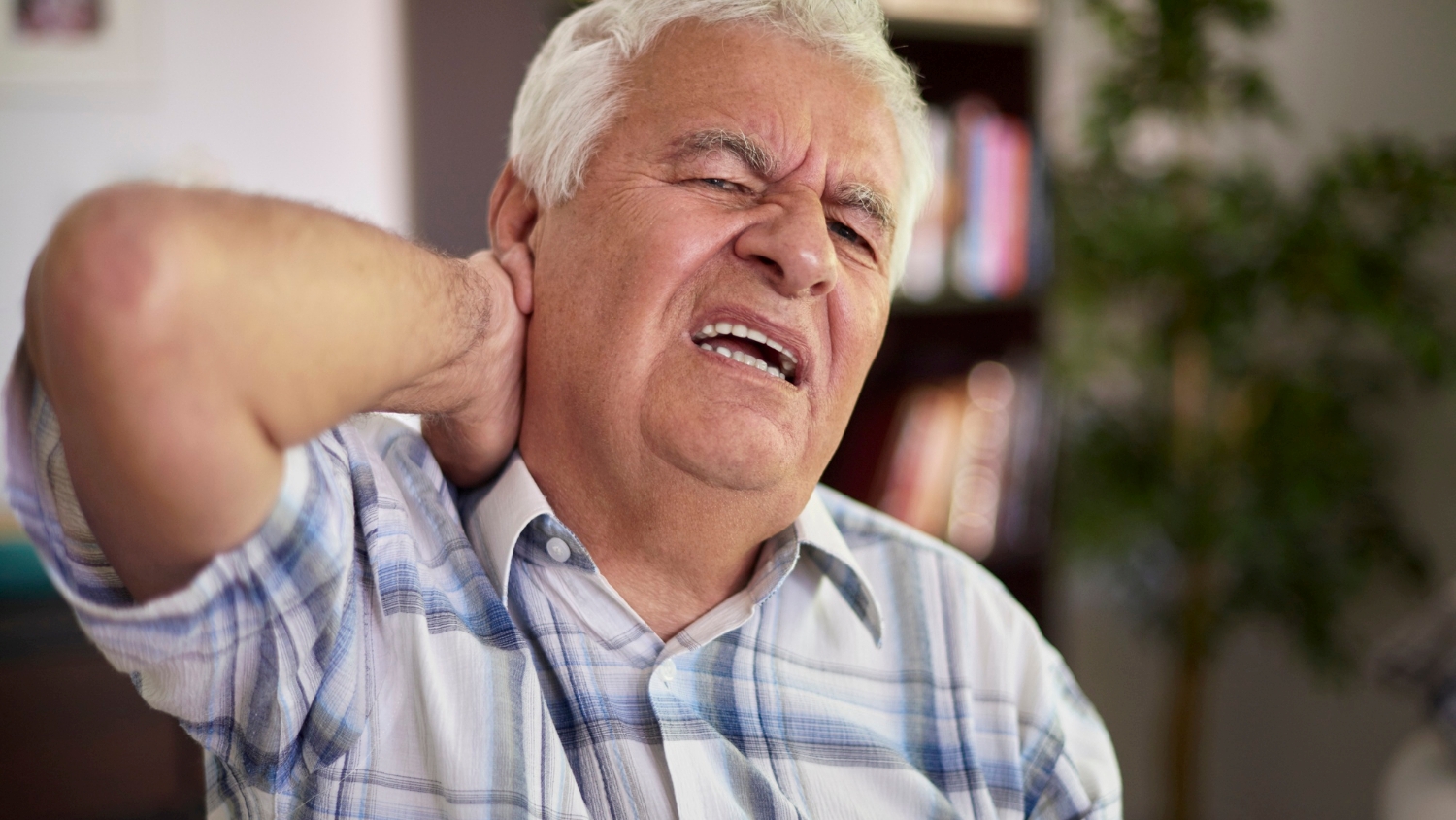 Doença causada por vírus costuma “atacar” quem já passou dos 50 e é famosa por gerar coceira e dor