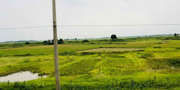 Foto: Estiuck Al Regun/Unsplash