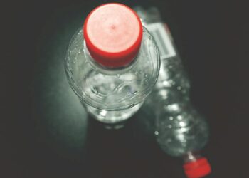 Foto: George Becker/Pexels