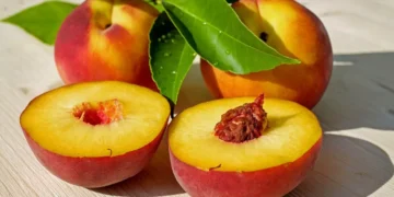Se você come pêssegos, não jogue o caroço fora: por que recomendam guardá-los