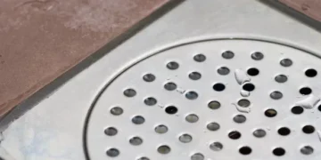 Ingrediente da cozinha é o vilão de formigas e baratas e ainda neutraliza o cheiro ruim: basta passar no ralo