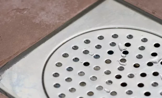 Ingrediente da cozinha é o vilão de formigas e baratas e ainda neutraliza o cheiro ruim: basta passar no ralo