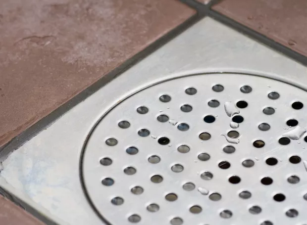 Ingrediente da cozinha é o vilão de formigas e baratas e ainda neutraliza o cheiro ruim: basta passar no ralo